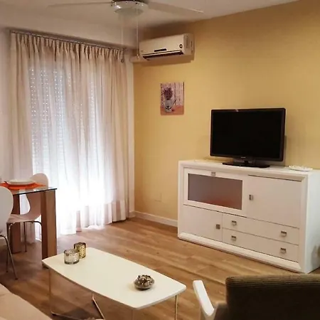 Apart. Centrico San Miguel *