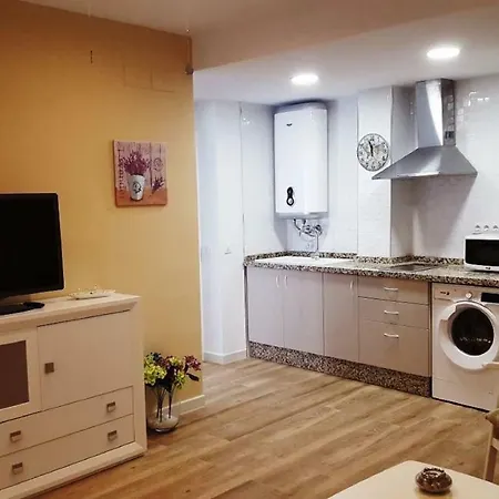 Apart. Centrico San Miguel